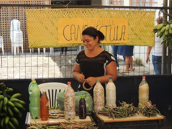 Começa a “26ª Festa da Produção” de Monsenhor Gil - Imagem 2