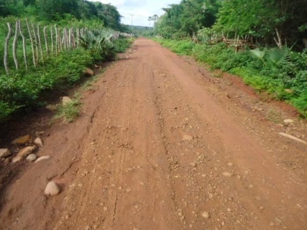 PREFEITURA RECUPERA ALGUMAS ESTRADAS NA ZONA RURAL DE BATALHA - Imagem 5