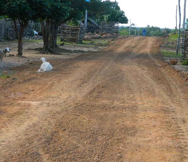 Prefeitura finaliza recuperação de estrada e abastecimento d’água  no Povoado Oiticica - Imagem 2