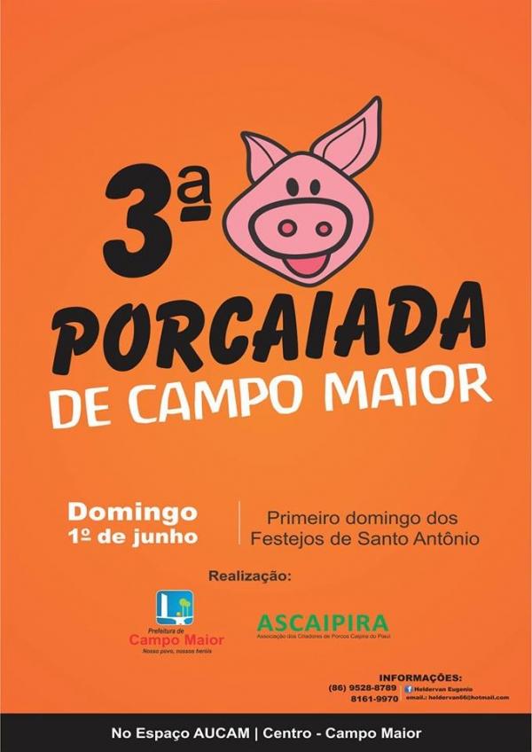 Tudo planejado para a Porcaiada garantir sucesso nos Festejos - Imagem 2