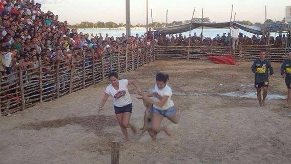 Tudo planejado para a Porcaiada garantir sucesso nos Festejos