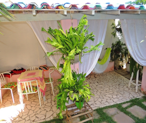 Pousada Neblina espaço amplo e aconchegante para sua estadia - Imagem 11