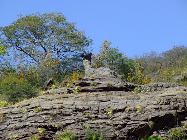 Alunos da turma de História da FADESB, visitam pontos turísticos e históricos da cidade - Imagem 2