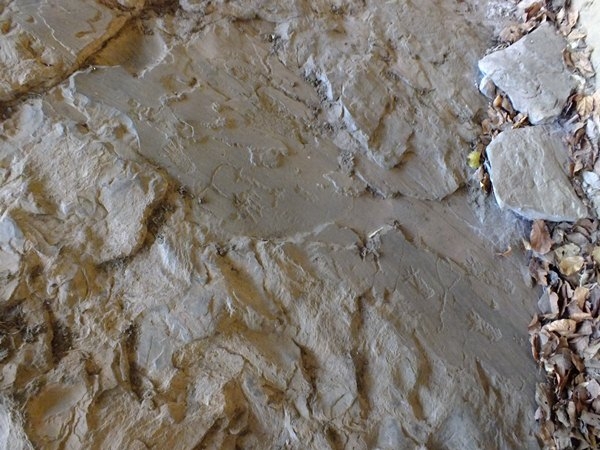 Alunos da turma de História da FADESB, visitam pontos turísticos e históricos da cidade - Imagem 29