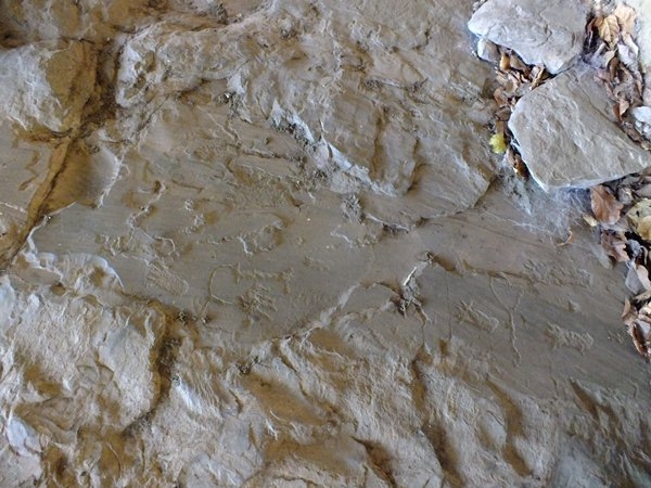 Alunos da turma de História da FADESB, visitam pontos turísticos e históricos da cidade - Imagem 28