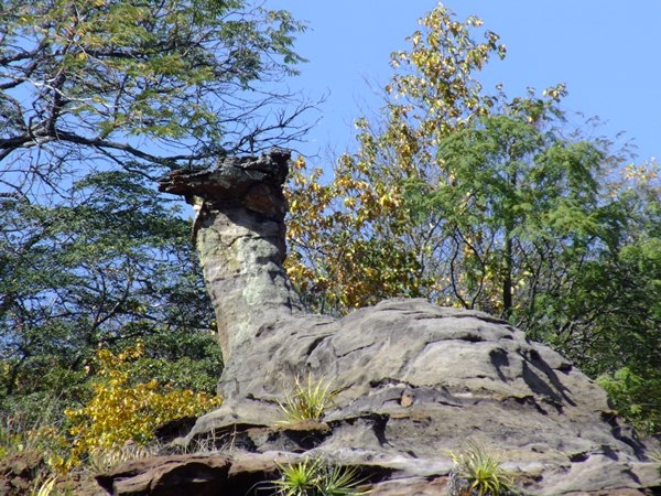 Alunos da turma de História da FADESB, visitam pontos turísticos e históricos da cidade - Imagem 3