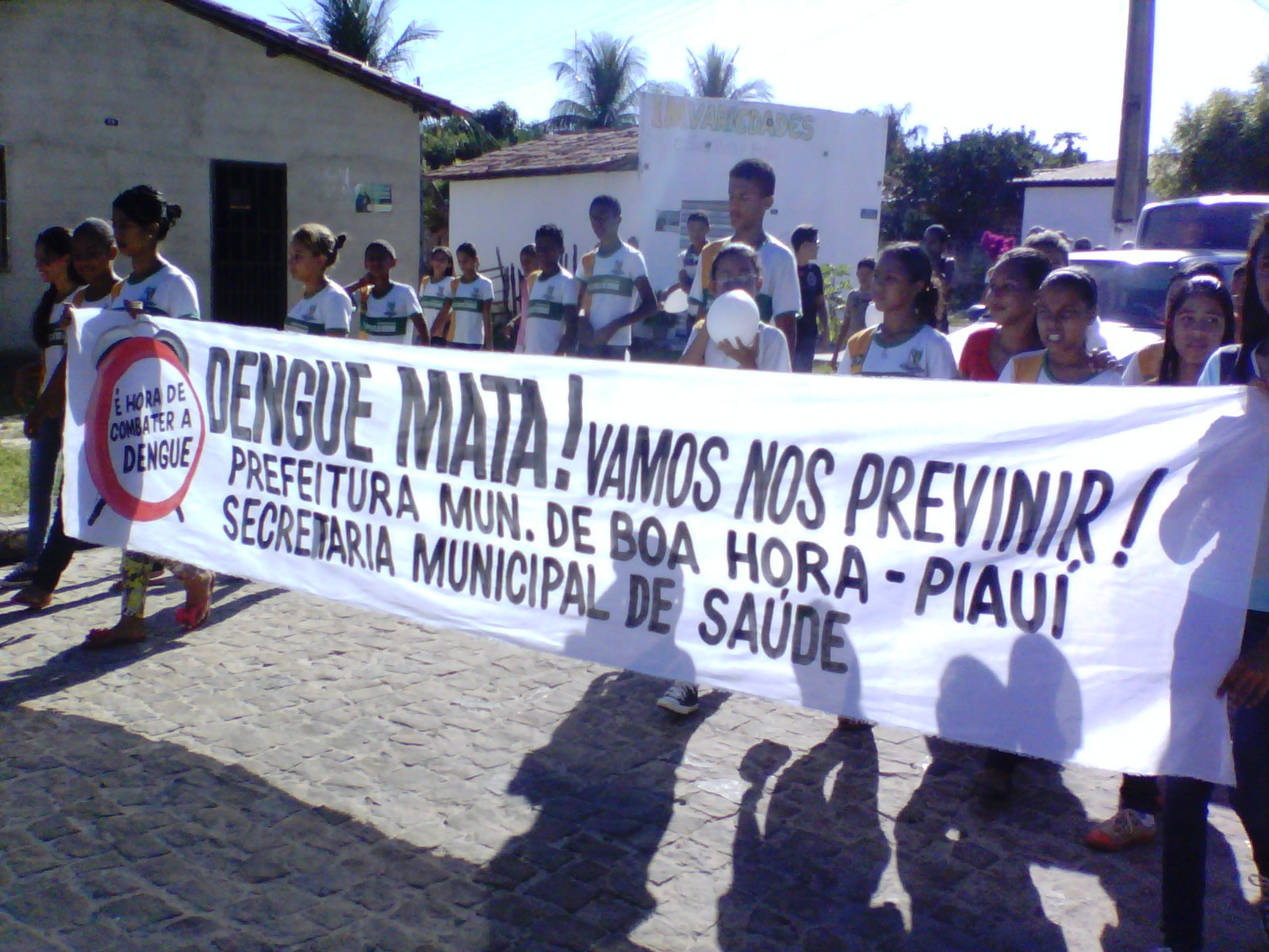 Secretaria de Saúde de Boa Hora realiza o dia D de combate a dengue