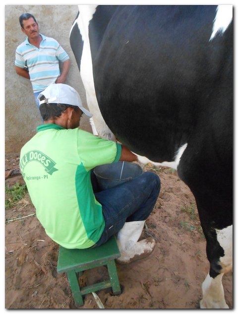 Comunidade inhumense comemora o aniversário de Inhuma em grande Estilo - Imagem 170