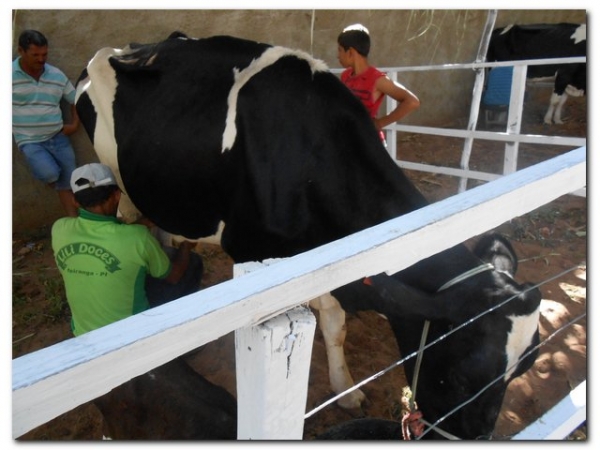 Comunidade inhumense comemora o aniversário de Inhuma em grande Estilo - Imagem 169