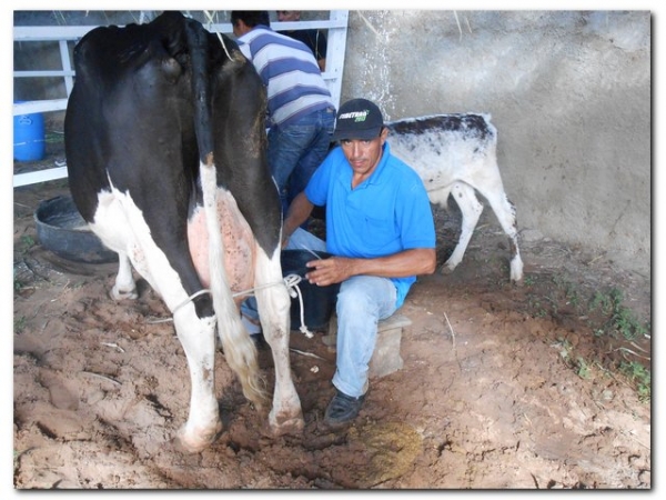 Comunidade inhumense comemora o aniversário de Inhuma em grande Estilo - Imagem 167