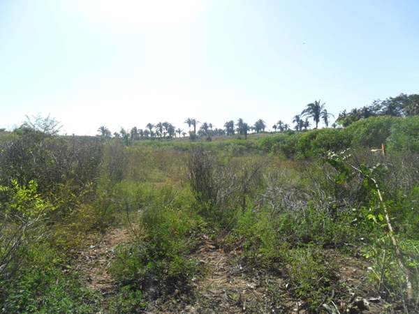  Prefeitura de Lagoinha prepara Terreno para construção de Ginásio - Imagem 5