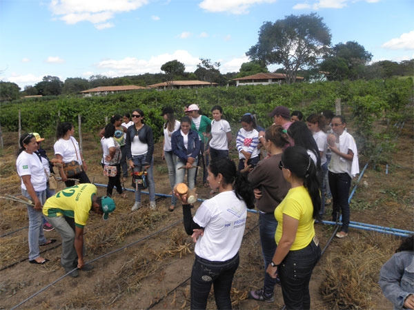 Alunas do Pronatec/UFPI realizam aula prática na cidade de Pedro II - Imagem 7