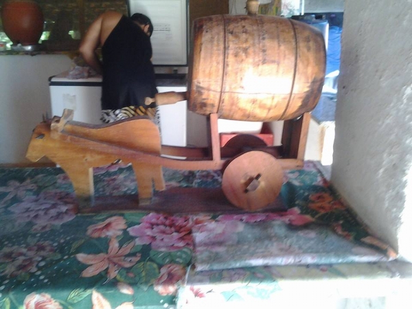 Passeio em homenagem ao Dia das Mães - Imagem 26