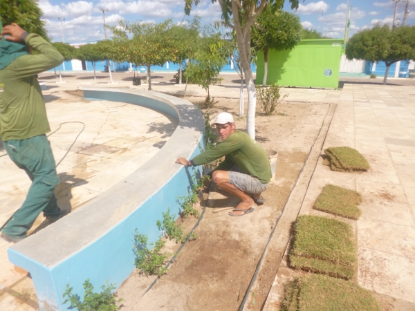 Praça do Jacaré é revitalizada pela prefeitura e secretaria de Meio Ambiente - Imagem 3