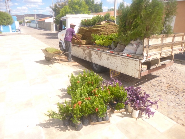 Praça do Jacaré é revitalizada pela prefeitura e secretaria de Meio Ambiente - Imagem 2