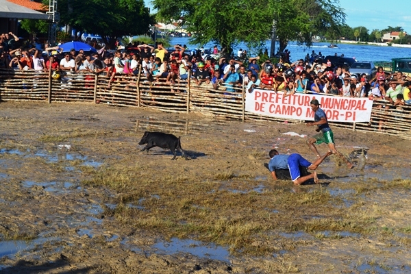 3ª Porcaiada repete o sucesso de público e irreverência - Imagem 1