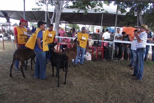 II Expoeiras é sucesso e reúne mais de 75 mil visitantes durante quatro dias