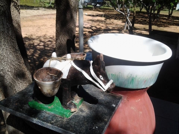 Passeio em homenagem ao Dia das Mães - Imagem 25