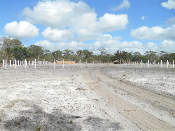 Obra do Matadouro Público de Boa Hora já esta em estado avançado - Imagem 7
