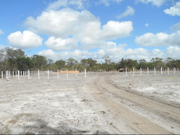 Obra do Matadouro Público de Boa Hora já esta em estado avançado - Imagem 6