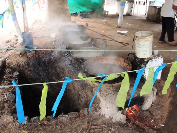 Turistas prestigiam Sitio Buritizinho no Festival de Inverno  - Imagem 5