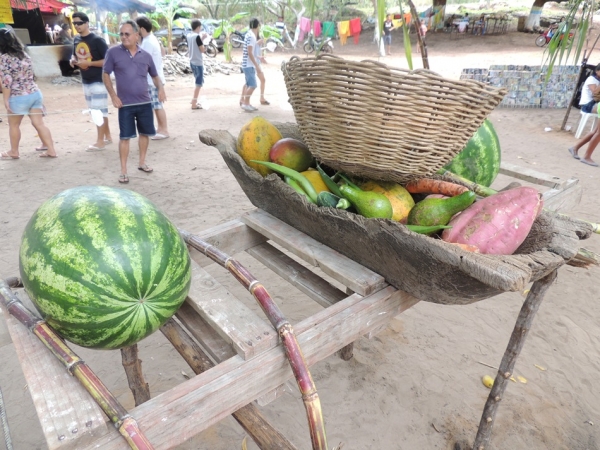 Turistas prestigiam Sitio Buritizinho no Festival de Inverno  - Imagem 31