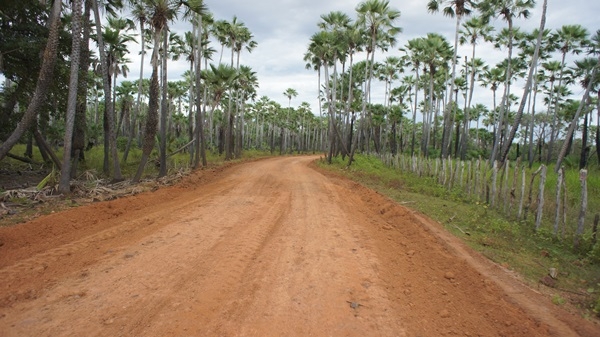 Reformas de Estradas - Imagem 3