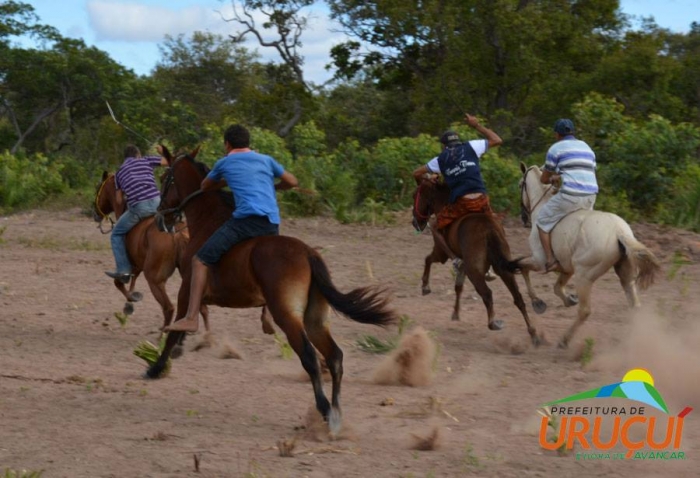 Prefeita Renata Coelho participa dos Festejos de São João Batista na comunidade Malícia - Imagem 24