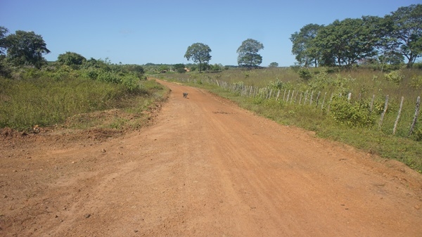 Reformas de Estradas - Imagem 4