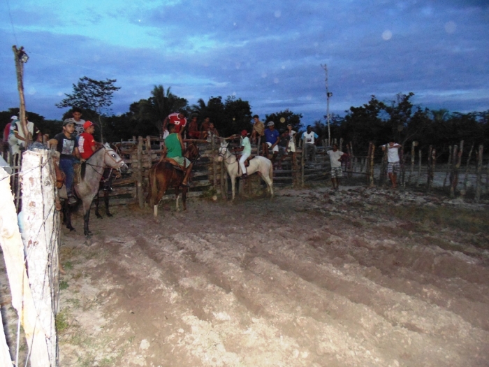 Hoje acontecerá grande vaquejada do parque Loira Bonita - Imagem 2