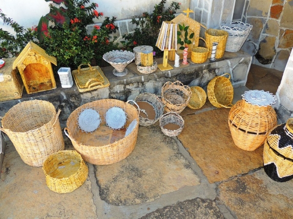 Prefeitura realiza a Semana do Meio Ambiente - Imagem 6