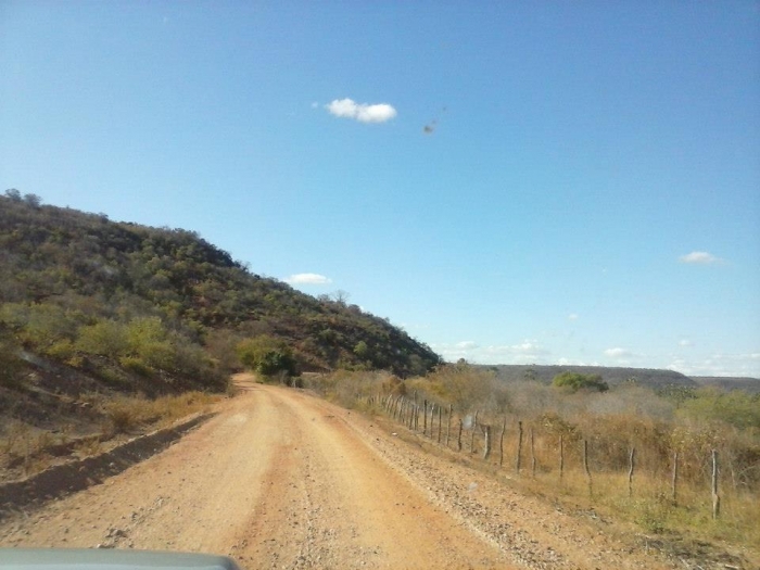 Prefeito acompanha conclusão da estrada que liga o município à Aroeiras do Itaim - Imagem 9