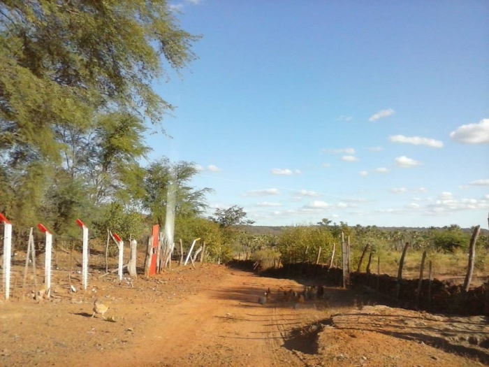 Prefeito acompanha conclusão da estrada que liga o município à Aroeiras do Itaim - Imagem 1
