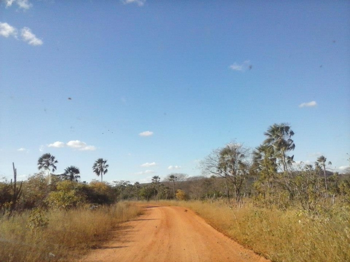 Prefeito acompanha conclusão da estrada que liga o município à Aroeiras do Itaim - Imagem 4
