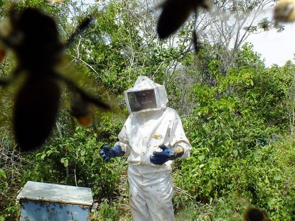 Dom Expedito Lopes estará presente na primeira atividade do projeto o Seminário de socialização e mobilização de projeto de patrocínio com a PETROBRAS - Imagem 9