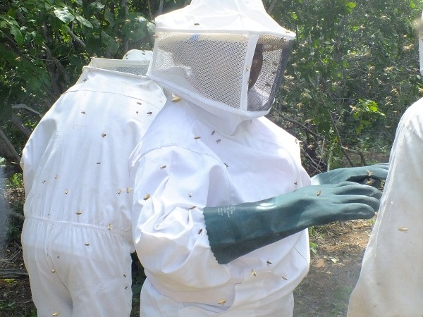 Dom Expedito Lopes estará presente na primeira atividade do projeto o Seminário de socialização e mobilização de projeto de patrocínio com a PETROBRAS - Imagem 8