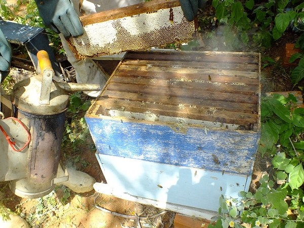 Dom Expedito Lopes estará presente na primeira atividade do projeto o Seminário de socialização e mobilização de projeto de patrocínio com a PETROBRAS - Imagem 12