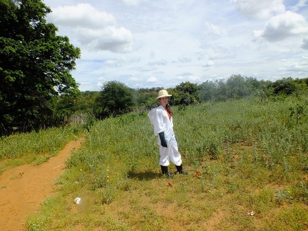 Dom Expedito Lopes estará presente na primeira atividade do projeto o Seminário de socialização e mobilização de projeto de patrocínio com a PETROBRAS - Imagem 3