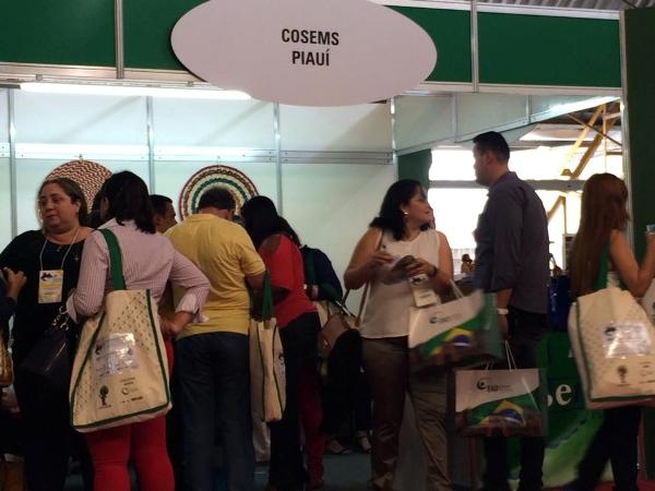 Secretária de Saúde de Santa Rosa participa de Congresso em Espírito Santo - Imagem 5