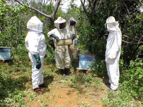 Dom Expedito Lopes estará presente na primeira atividade do projeto o Seminário de socialização e mobilização de projeto de patrocínio com a PETROBRAS