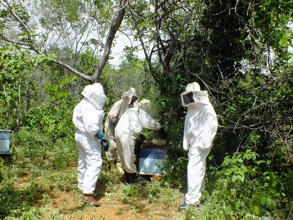Dom Expedito Lopes estará presente na primeira atividade do projeto o Seminário de socialização e mobilização de projeto de patrocínio com a PETROBRAS - Imagem 14