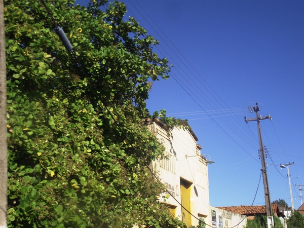 Moradores de Santa Rosa do Piauí pensam em processar a operadora Oi por descaso; entenda