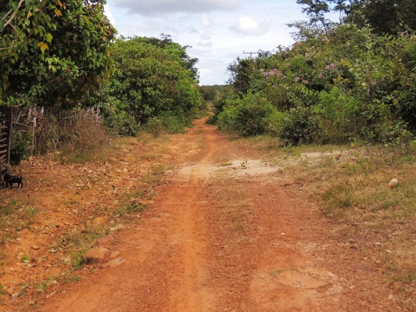 Prefeitura realiza sonho antigo de moradores com recuperação de estradas - Imagem 6