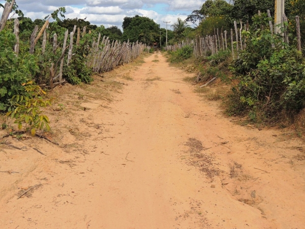 Prefeitura realiza sonho antigo de moradores com recuperação de estradas - Imagem 28