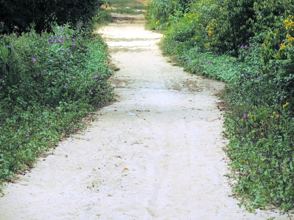 Prefeitura realiza sonho antigo de moradores com recuperação de estradas - Imagem 7