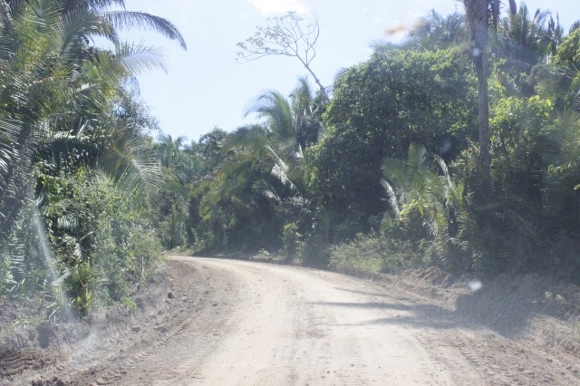 Prefeitura de Miguel Alves faz melhoria em estradas da zona rural - Imagem 4