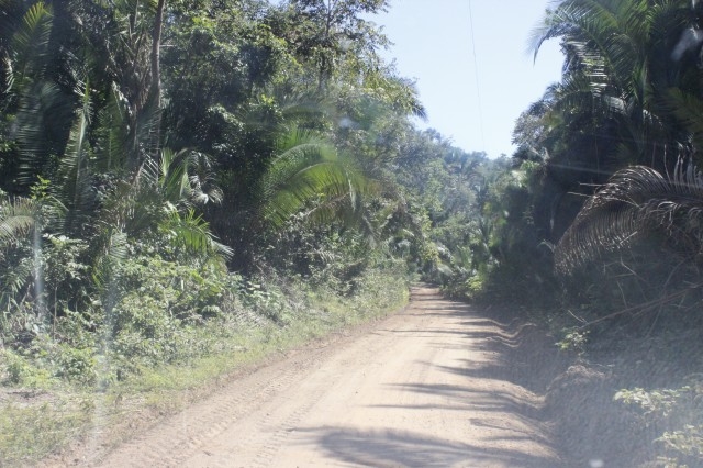 Prefeitura de Miguel Alves faz melhoria em estradas da zona rural - Imagem 2