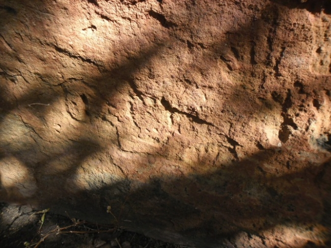 Estudiosos  começam a visitar/pesquisar pinturas rupestres em Redenção do Gurguéia  - Imagem 9