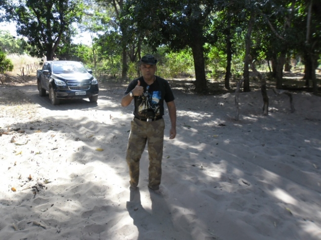 Estudiosos  começam a visitar/pesquisar pinturas rupestres em Redenção do Gurguéia  - Imagem 2