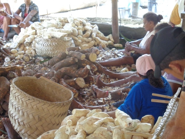 Secretário de Agricultura comemora com os agricultores a safra da farinha  - Imagem 6